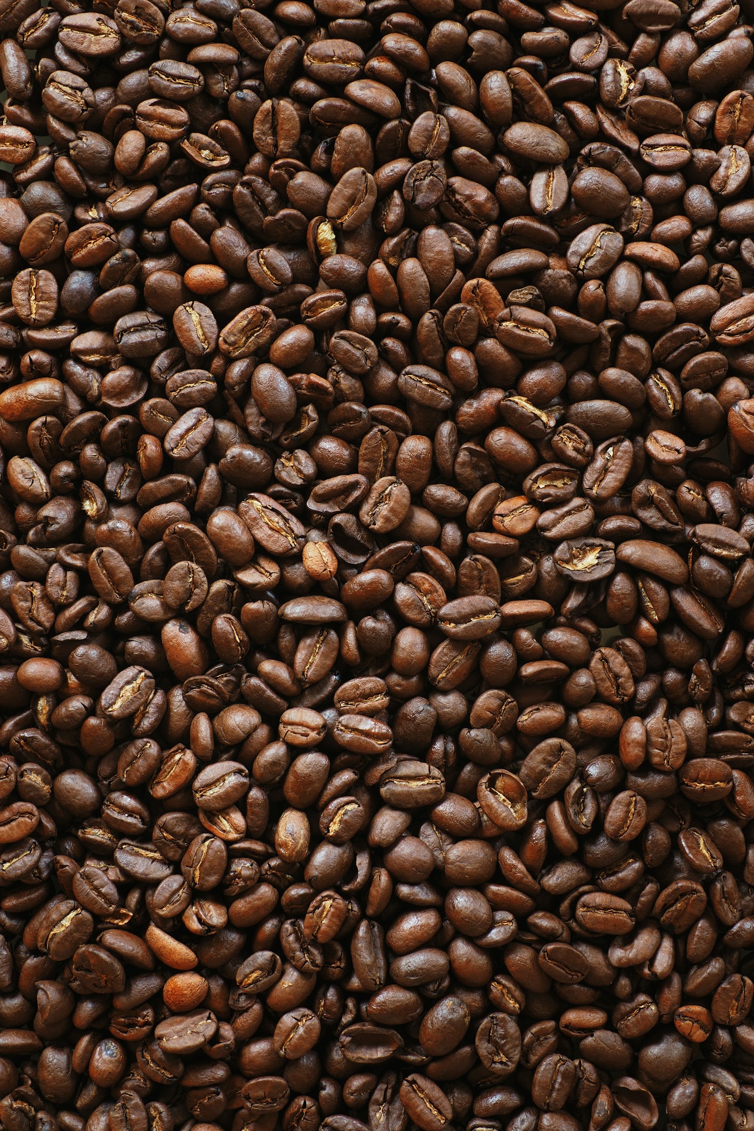 Exploring Coffee Cultures Around the World