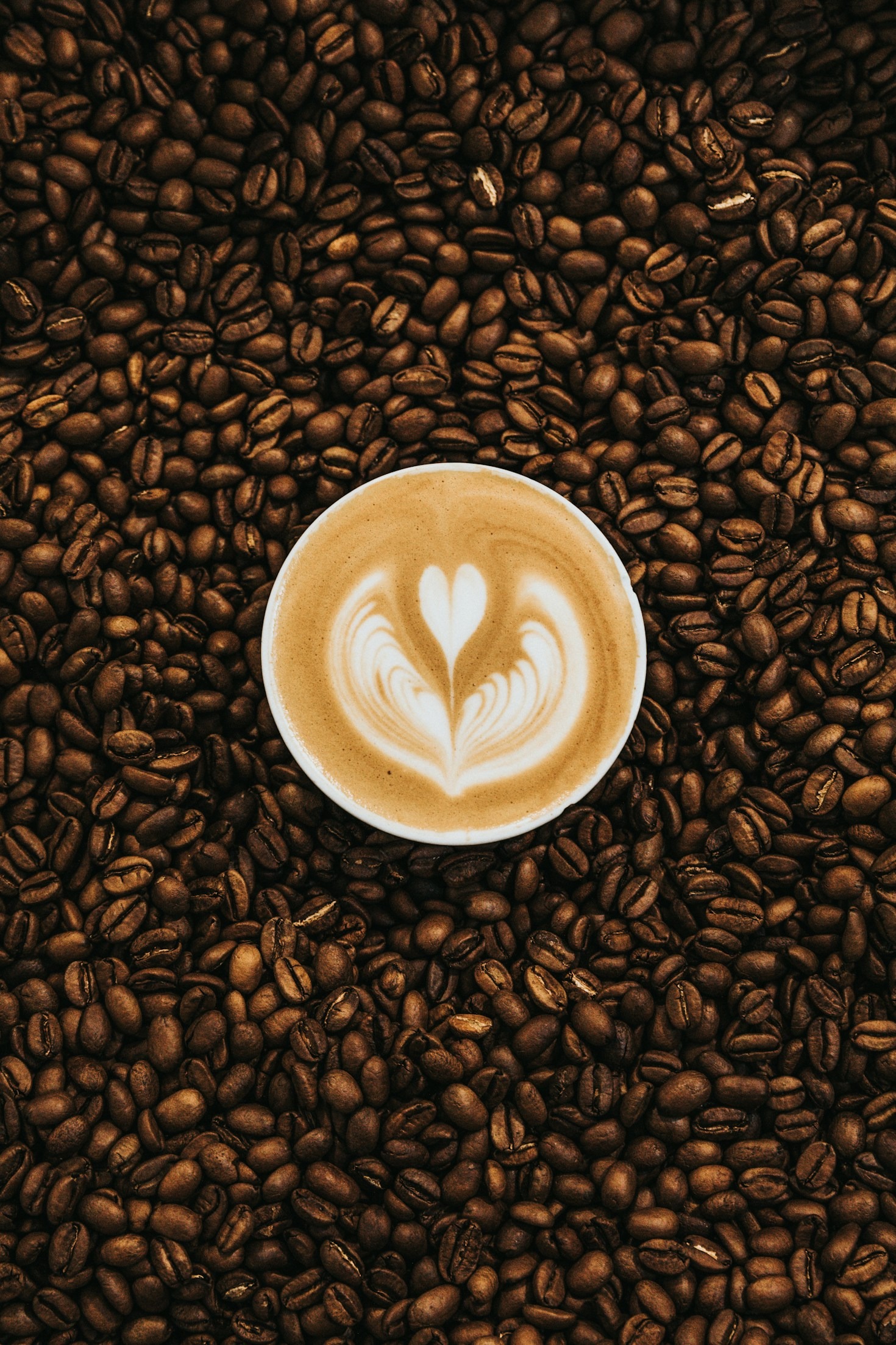 How to Choose the Right Coffee Beans